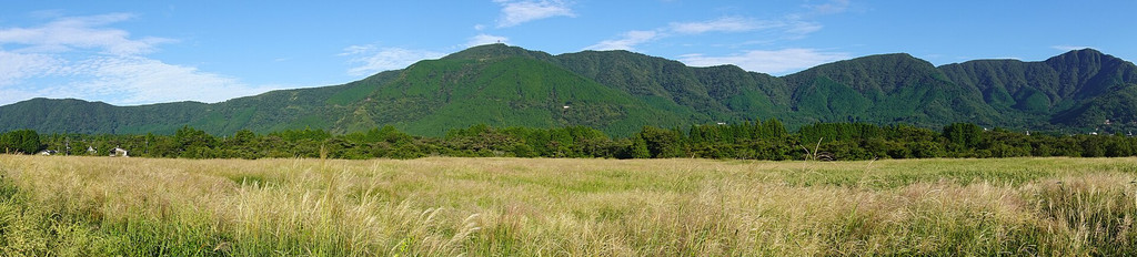 箱根仙石原に広がるすすき草原