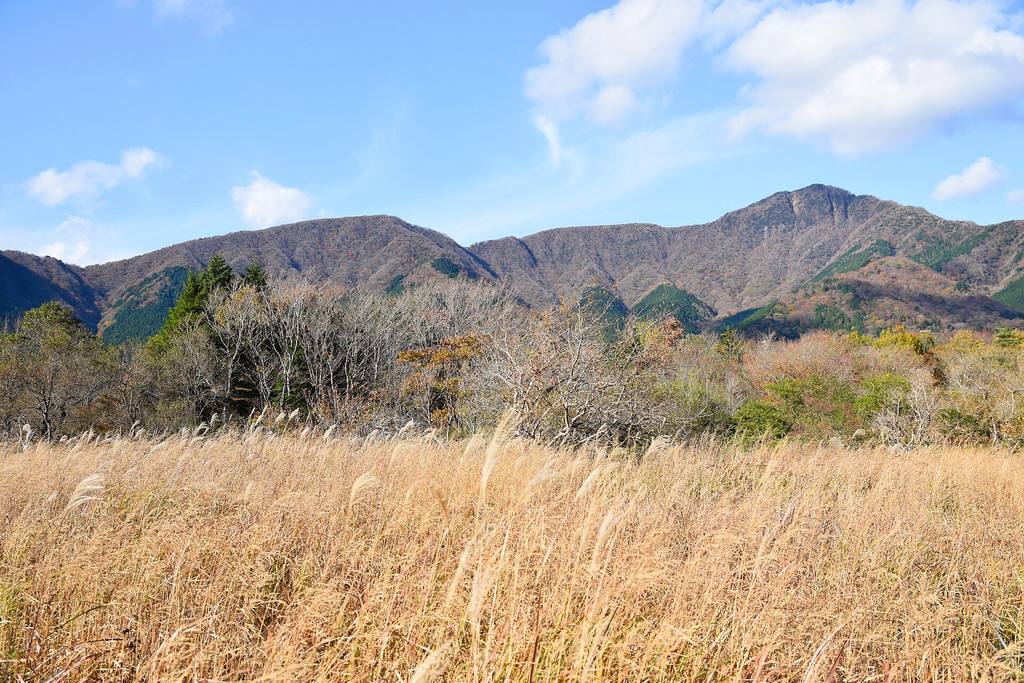 晩秋の仙石原と金時山方面の景色