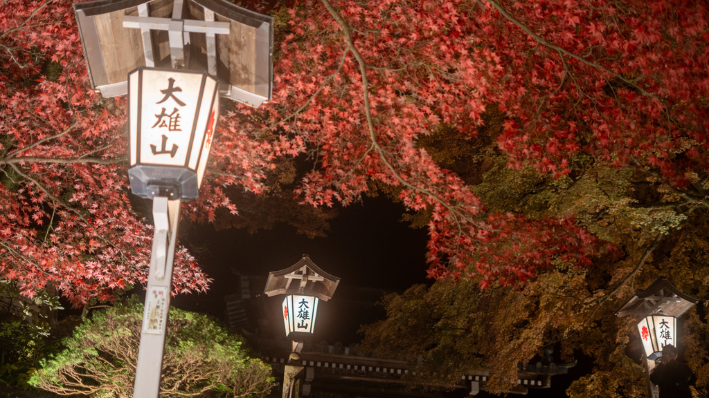夜の大雄山最乗寺を彩る紅葉と行灯