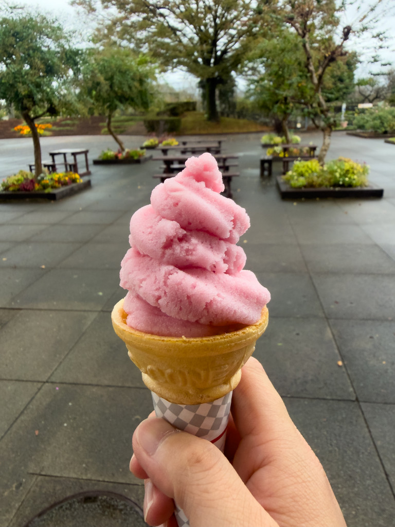 ピンク色のローズピーチジェラート